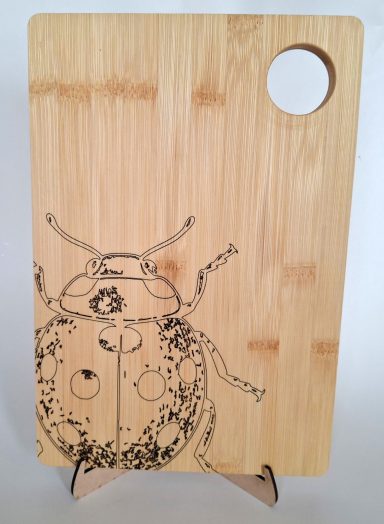 Ladybird cheese board